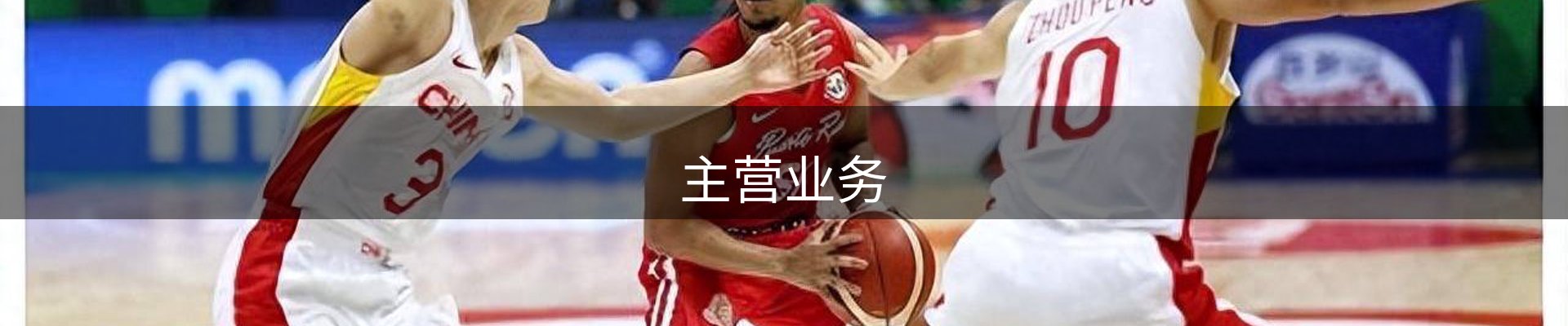 主营业务