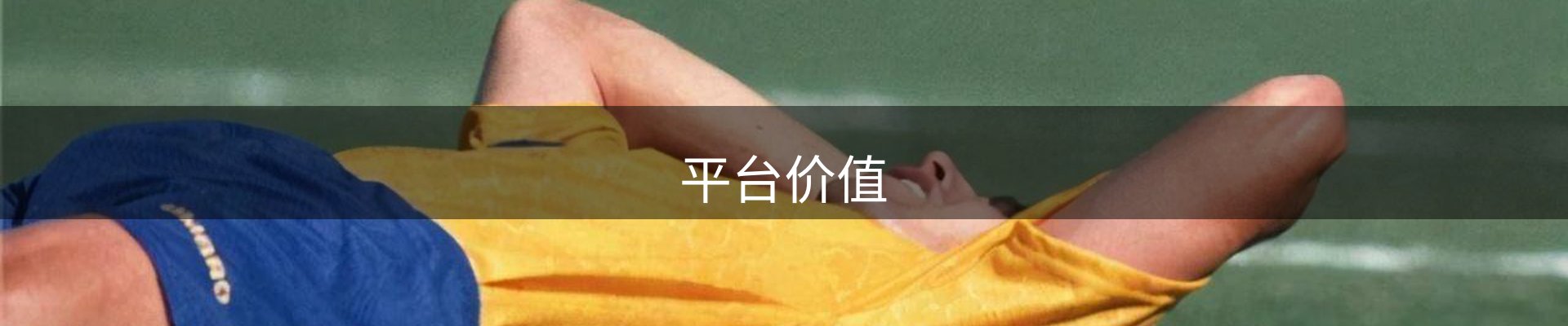 平台价值